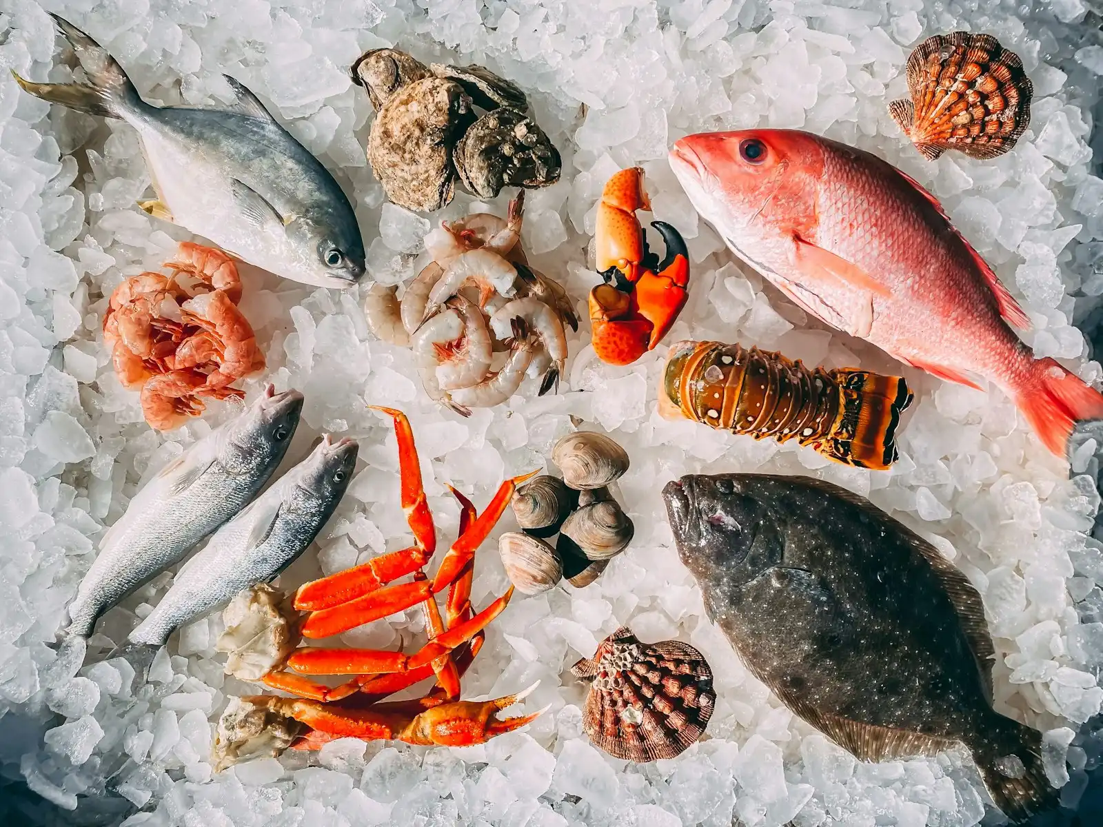 Fresh seafood on crushed ice