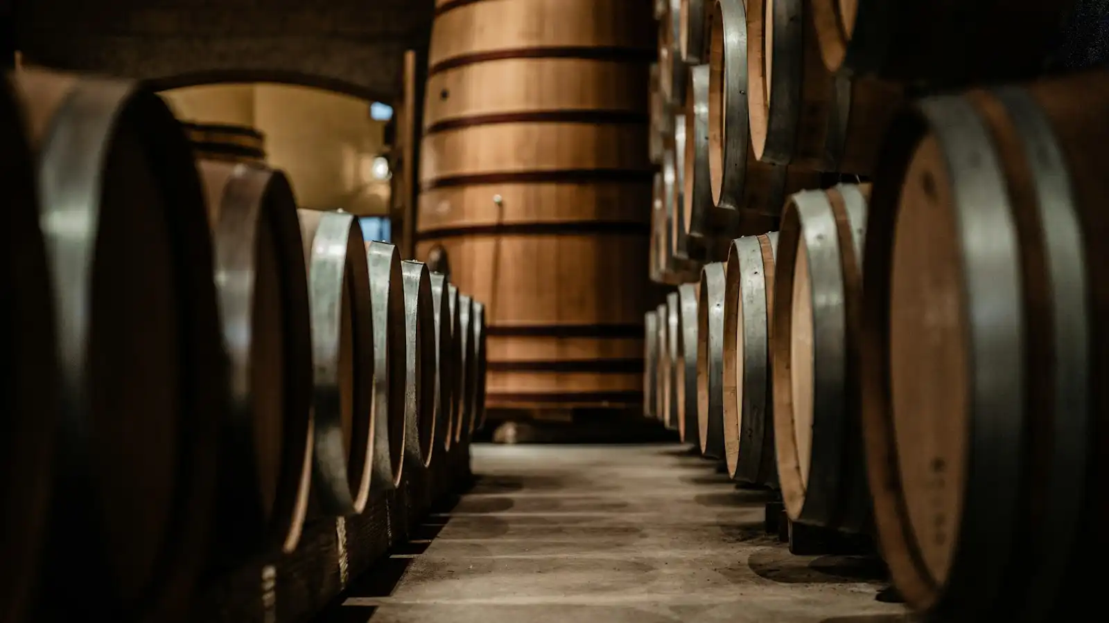 A row of barrels in a wine cellar