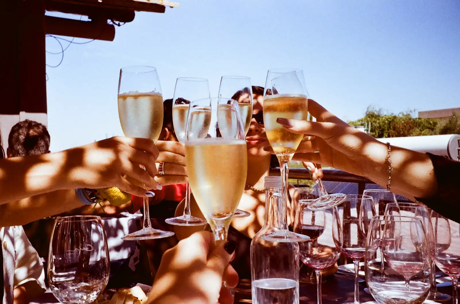 A group of people toasting with glasses